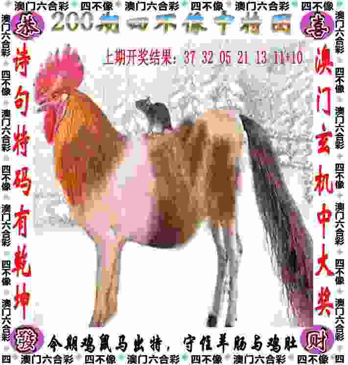 文一男篮再传捷报 首次参加CBDL联赛拿下赛区冠军